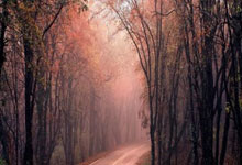 地摊行业新闻热点事件有哪些汇总最新报道,地摊经济热点