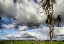 地摊经验分享文案简短范文简单一点,地摊经典语录